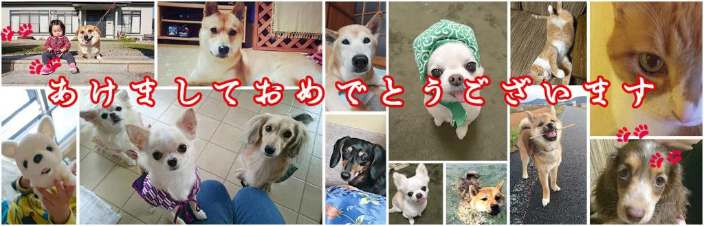 2018年年賀挨拶